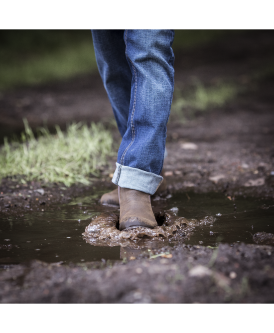 Ariat - Wexford Waterproof Chelsea Boot